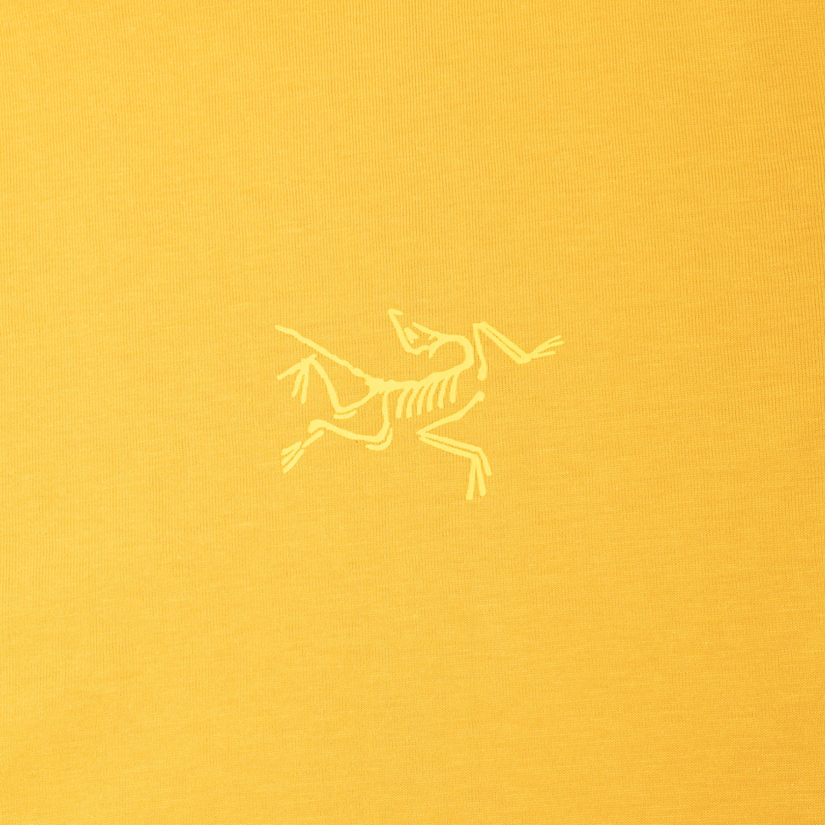Arc'teryx Kragg SL Cotton LS M (Larch)