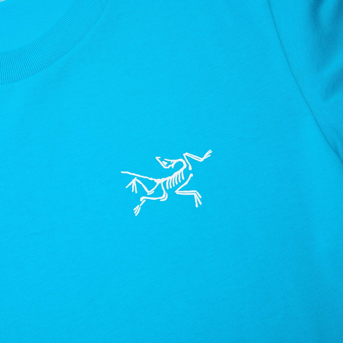 Arc'teryx Kragg Cotton LS M (Aquaculture)
