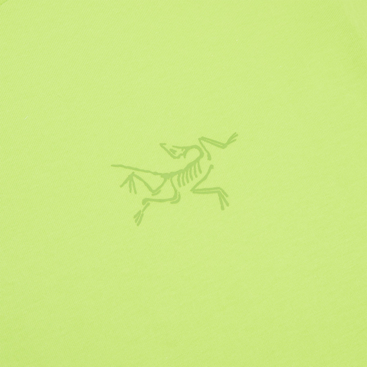 Arc'teryx Kragg Cotton LS M (Mantis)