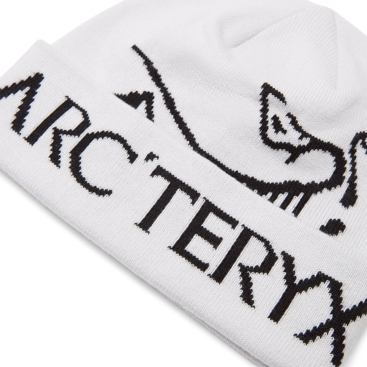 Arc'teryx Bird Word Toque (Orca)