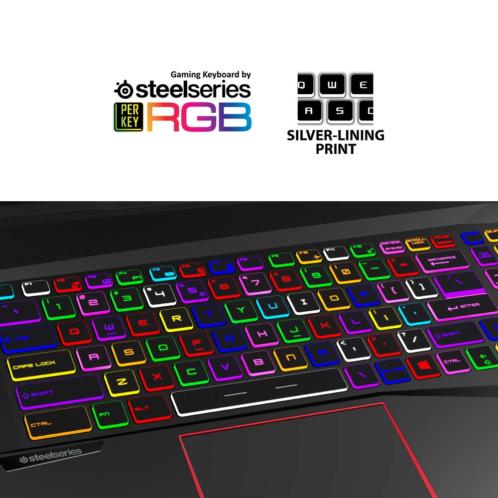 MSI GE75 Raider 10SGS-287 17.3" 300Hz Laptop - Intel Core i7-10875H - RTX 2080 Super - 32GB RAM - 1TB NVMe SSD - Win10, Black - GE7510287