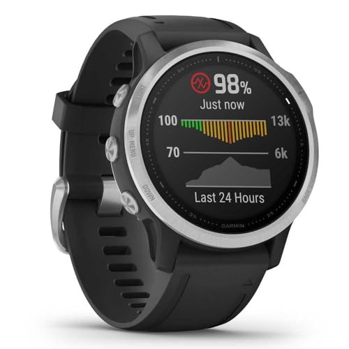 Garmin fēnix 6S GPS Smartwatch 30mm - Silver w/ Black Silicone Band - 010-02159-01