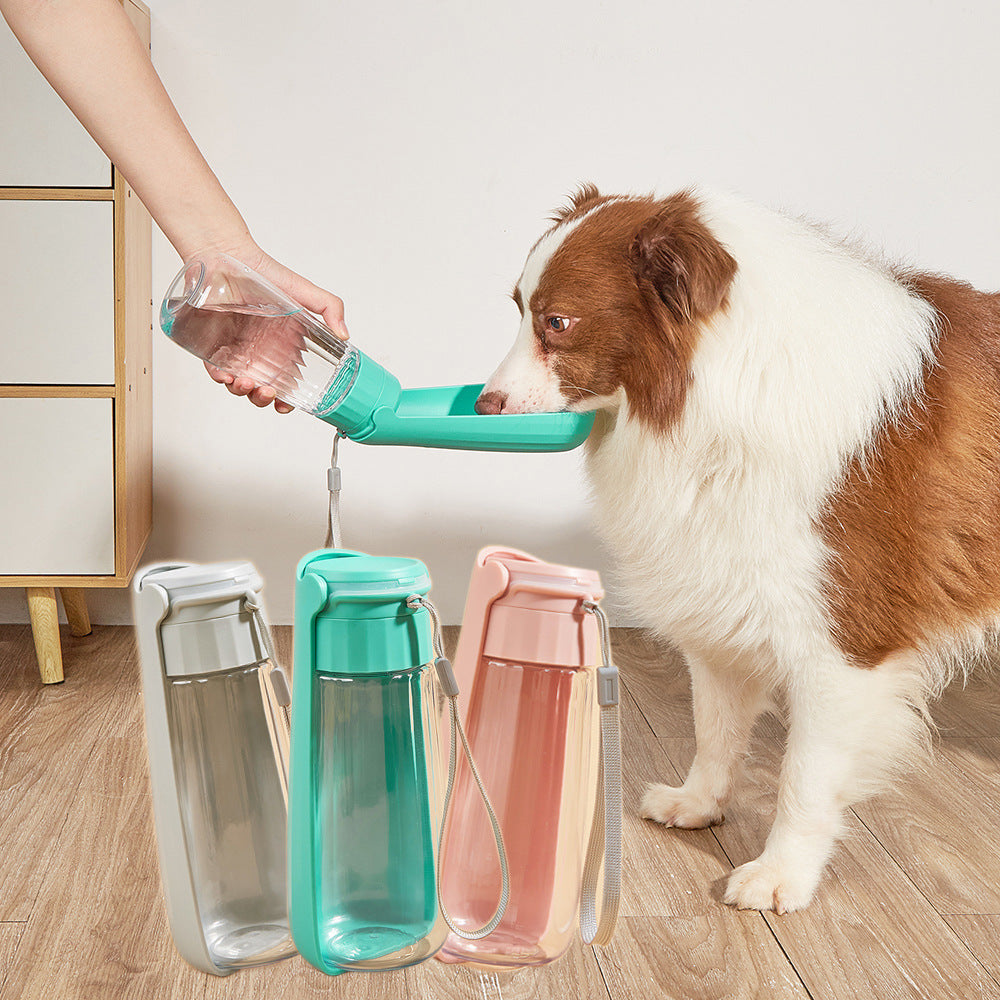 Portable Folding Pet Water Bottle