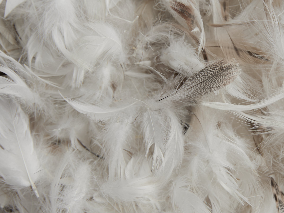 Feather Euro Pillow Insert