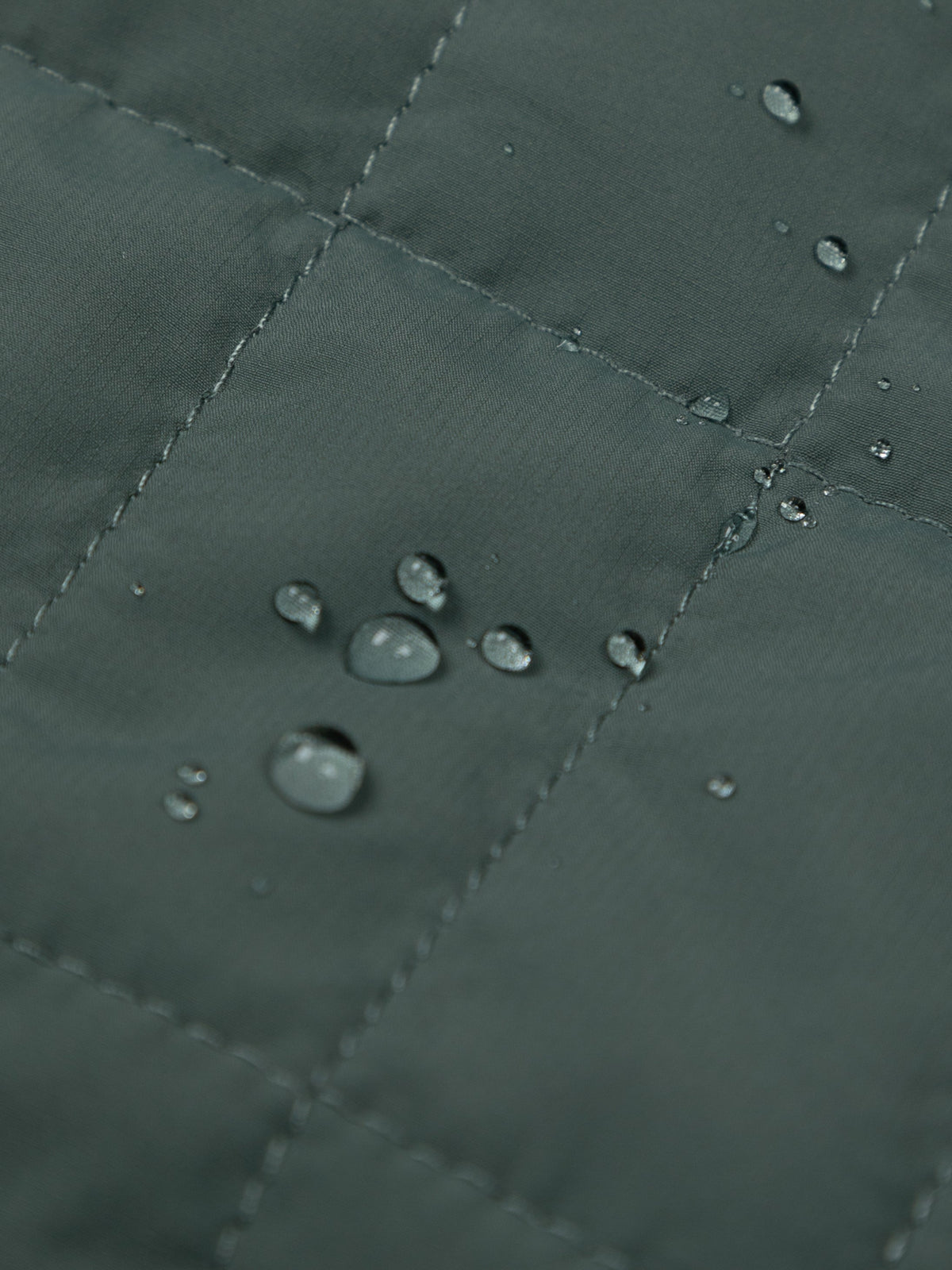 Women's Firecrest Hooded Jacket