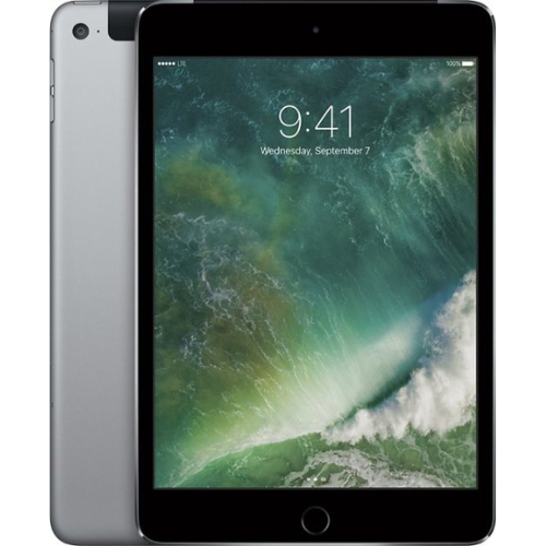 iPad mini (4th Gen, 2015) 16GB - Space Gray (Wi-Fi + Cellular)