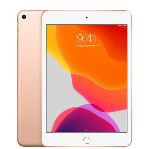 iPad mini (5th Gen, 2019) 64GB - Gold (Wi-Fi)