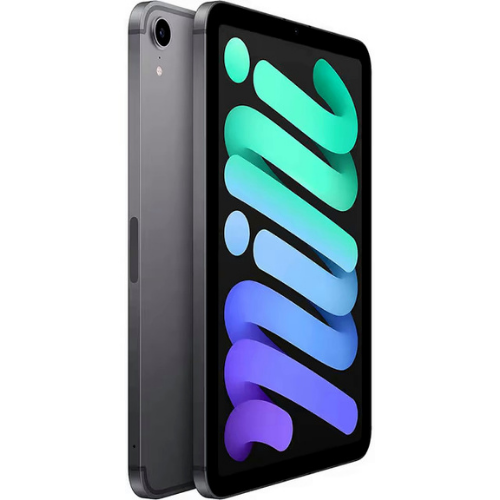 iPad mini (6th Gen, 2021) 256GB - Space Gray (Wi-Fi + Cellular)