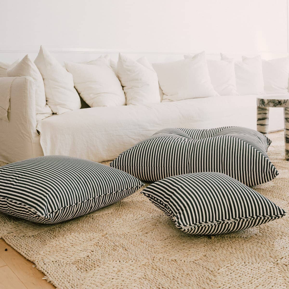 The Euro Throw Pillow