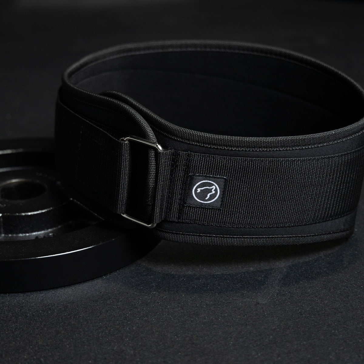 Lifting Belt