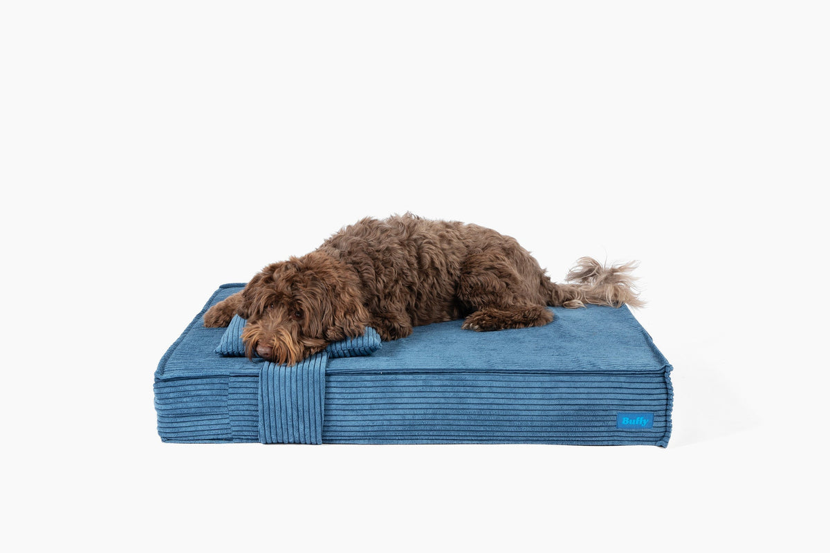 Orthopedic Pet Bed