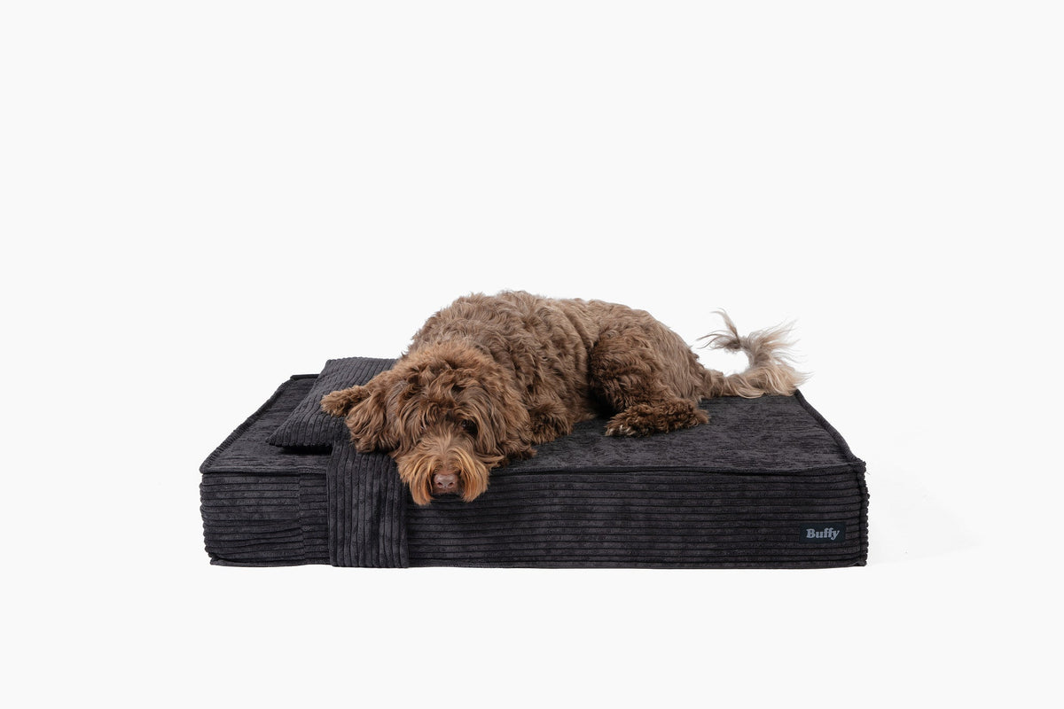 Orthopedic Pet Bed