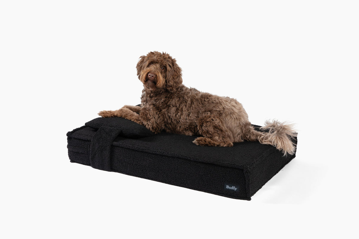 Orthopedic Pet Bed