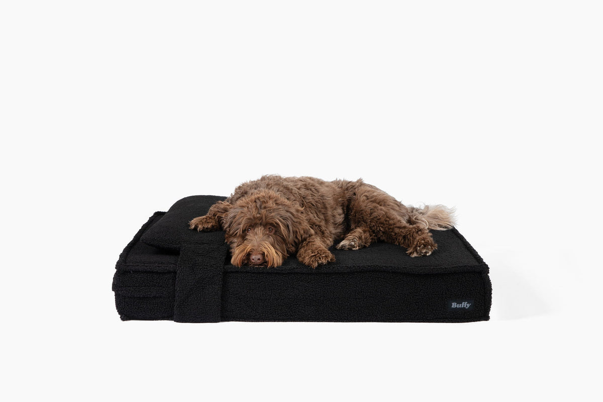 Orthopedic Pet Bed
