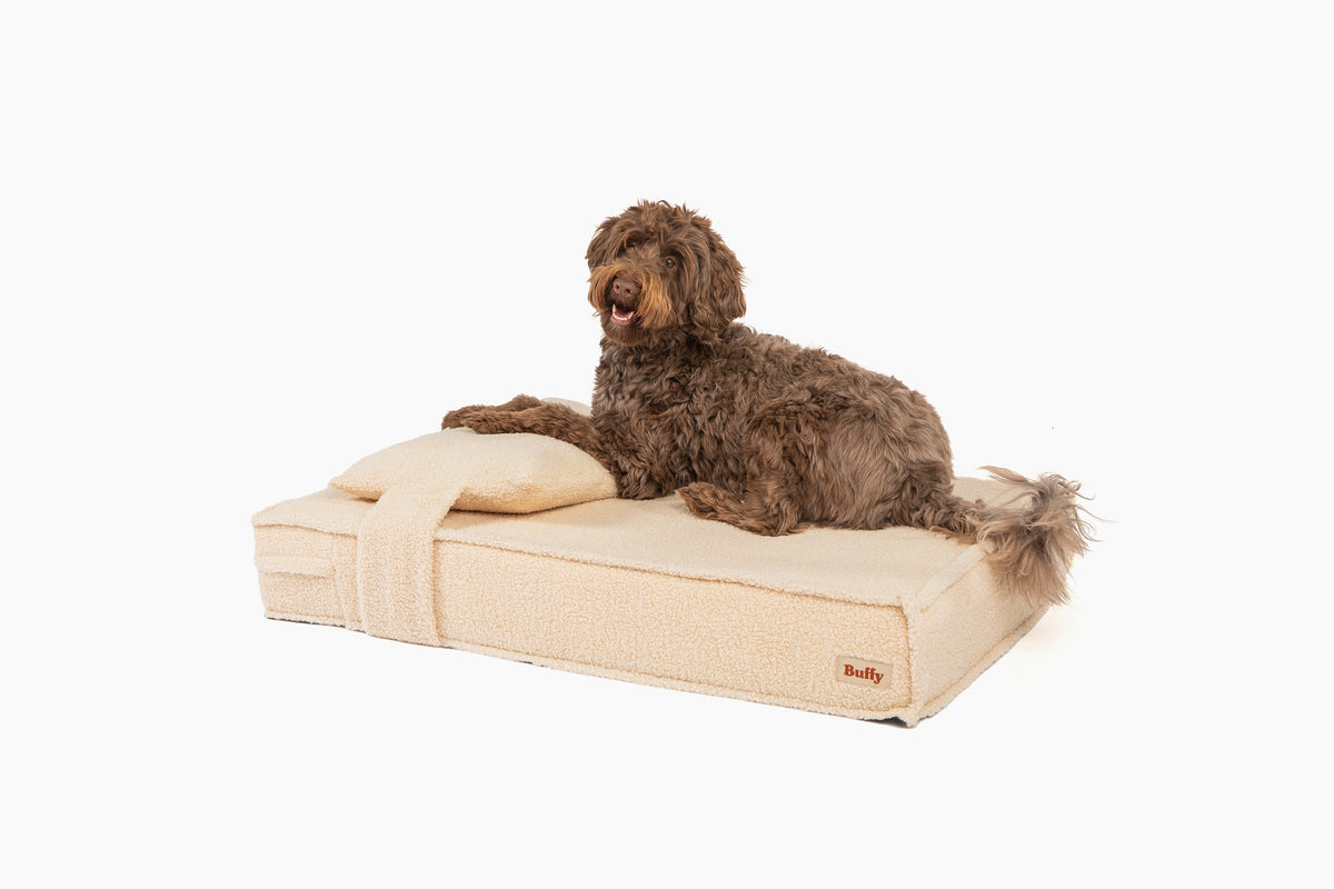 Orthopedic Pet Bed